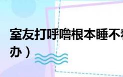 室友打呼噜根本睡不着（室友打鼾睡不着怎么办）