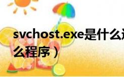 svchost.exe是什么进程（svchost exe是什么程序）