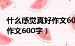 什么感觉真好作文600字左右（什么感觉真好作文600字）