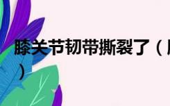 膝关节韧带撕裂了（膝关节韧带撕裂能自愈吗）