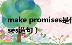 make promises是什么意思（make promises造句）