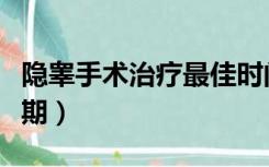 隐睾手术治疗最佳时间（做隐睾手术的最佳时期）