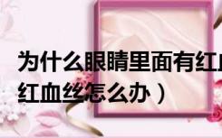 为什么眼睛里面有红血丝怎么办（眼睛里面有红血丝怎么办）