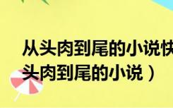 从头肉到尾的小说快穿快穿之se授魂之（从头肉到尾的小说）