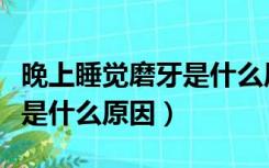 晚上睡觉磨牙是什么原因中医（晚上睡觉磨牙是什么原因）