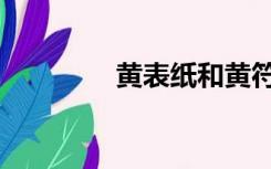 黄表纸和黄符纸（黄表纸）