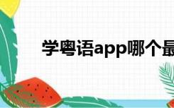 学粤语app哪个最好（学粤语app）