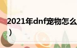 2021年dnf宠物怎么获得（dnf宠物怎么获得）