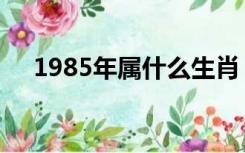 1985年属什么生肖（1985属什么生肖）