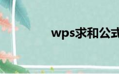 wps求和公式（wps求和）