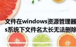 文件在windows资源管理器打开无法删除怎么办（windows系统下文件名太长无法删除该怎么办）