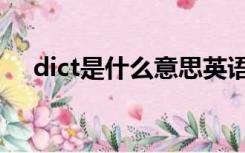 dict是什么意思英语（dict是什么意思）