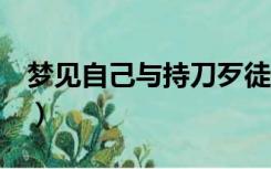 梦见自己与持刀歹徒搏斗（路飞5档是哪一集）