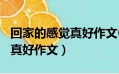 回家的感觉真好作文600字初中（回家的感觉真好作文）