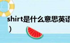 shirt是什么意思英语翻译（shirt是什么意思）