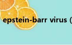 epstein-barr virus（virus bat unsafe 1）