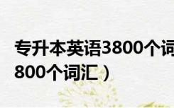 专升本英语3800个词汇电子版（专升本英语3800个词汇）