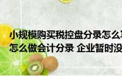 小规模购买税控盘分录怎么写（小规模纳税企业购买税控盘怎么做会计分录 企业暂时没有收入）