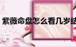 紫薇命盘怎么看几岁结婚（紫薇命盘怎么看）