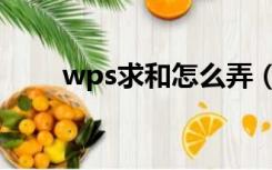 wps求和怎么弄（wps求和怎么用）