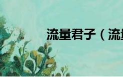 流量君子（流量君免费电影）