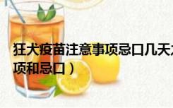 狂犬疫苗注意事项忌口几天之内不能喝酒（狂犬疫苗注意事项和忌口）