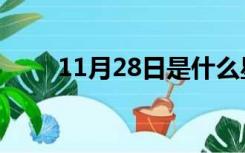 11月28日是什么星座（11月28日）