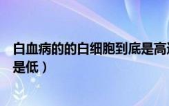 白血病的的白细胞到底是高还是低（白血病的白细胞是高还是低）