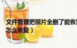 文件管理把照片全删了能恢复吗（手机文件管理删除的文件怎么恢复）