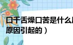 口干舌燥口苦是什么原因引起的（口苦是什么原因引起的）