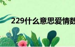 229什么意思爱情数字（229什么意思）