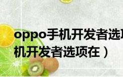 oppo手机开发者选项在哪里找到（oppo手机开发者选项在）