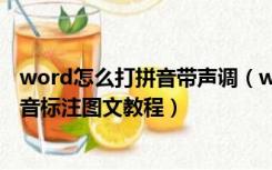 word怎么打拼音带声调（word拼音加声调怎么打 word拼音标注图文教程）