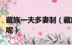 藏族一夫多妻制（藏族为什么会有一夫多妻制呢）