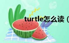 turtle怎么读（nurse怎么读）