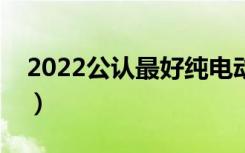 2022公认最好纯电动车（立马电动车怎么样）