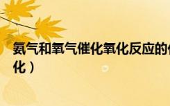 氨气和氧气催化氧化反应的化学方程式（氨气和氧气催化氧化）