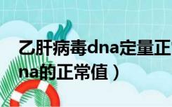 乙肝病毒dna定量正常值是多少（乙肝病毒dna的正常值）