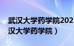 武汉大学药学院2023年研究生招生简章（武汉大学药学院）