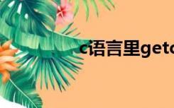 c语言里getchar()是什么