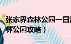 张家界森林公园一日游玩攻略（张家界国家森林公园攻略）