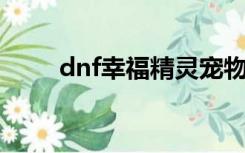 dnf幸福精灵宠物（幸福精灵宠物）