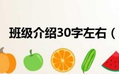 班级介绍30字左右（班级简介200字左右）