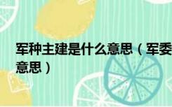 军种主建是什么意思（军委管总 战区主战 军种主建是什么意思）