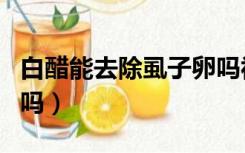 白醋能去除虱子卵吗视频（白醋能去除虱子卵吗）