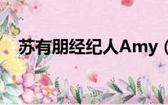 苏有朋经纪人Amy（苏有朋经纪人amy）