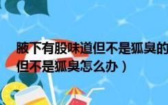 腋下有股味道但不是狐臭的味道是怎么回事?（腋下有异味但不是狐臭怎么办）