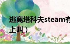 逃离塔科夫steam有吗（逃离塔科夫steam上叫）