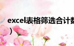 excel表格筛选合计数（excel表格合计数为0）