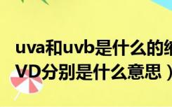 uva和uvb是什么的缩写（UVA UVB UVC UVD分别是什么意思）